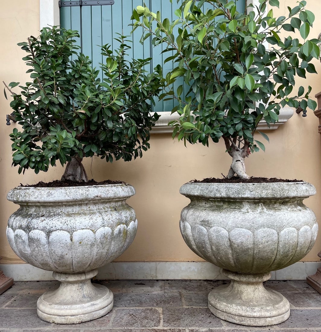 Pair of vases: Pair of stone agglomerate vases. 60x60 cm approx. Coppia di vasi in agglomerato di pietra. 60x60 cm ca.