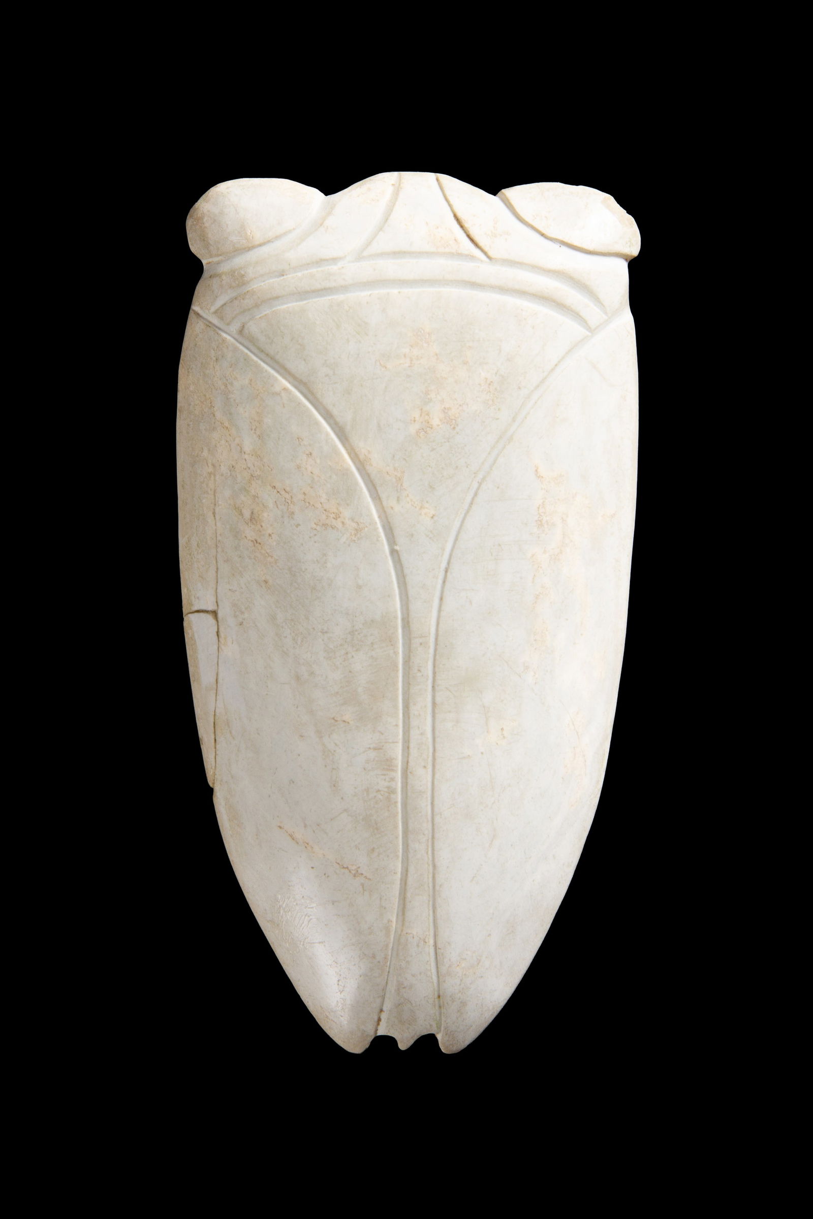 Jade cicada (1 of 2)