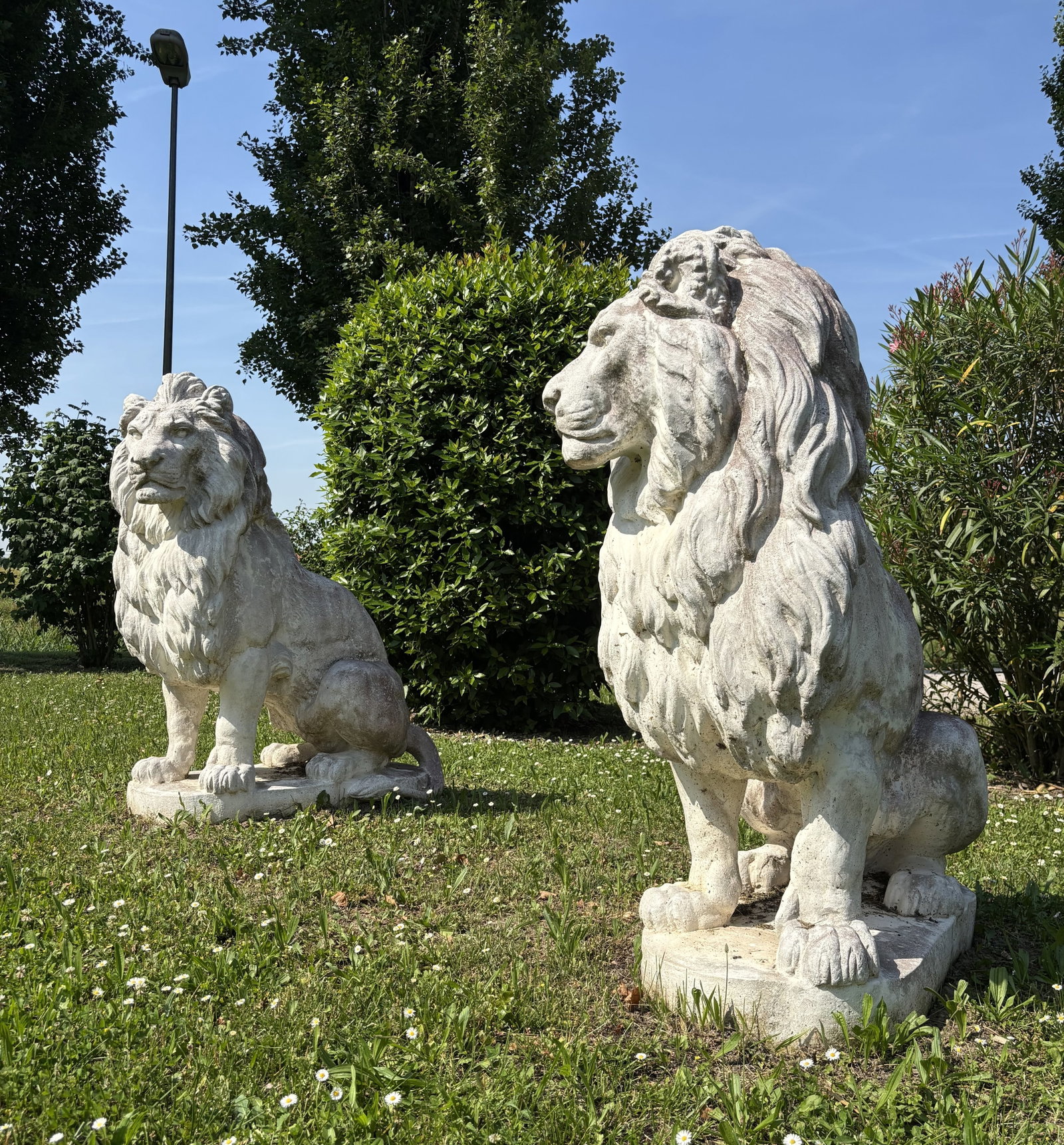 Due sculture "LEONI" (1 of 1)