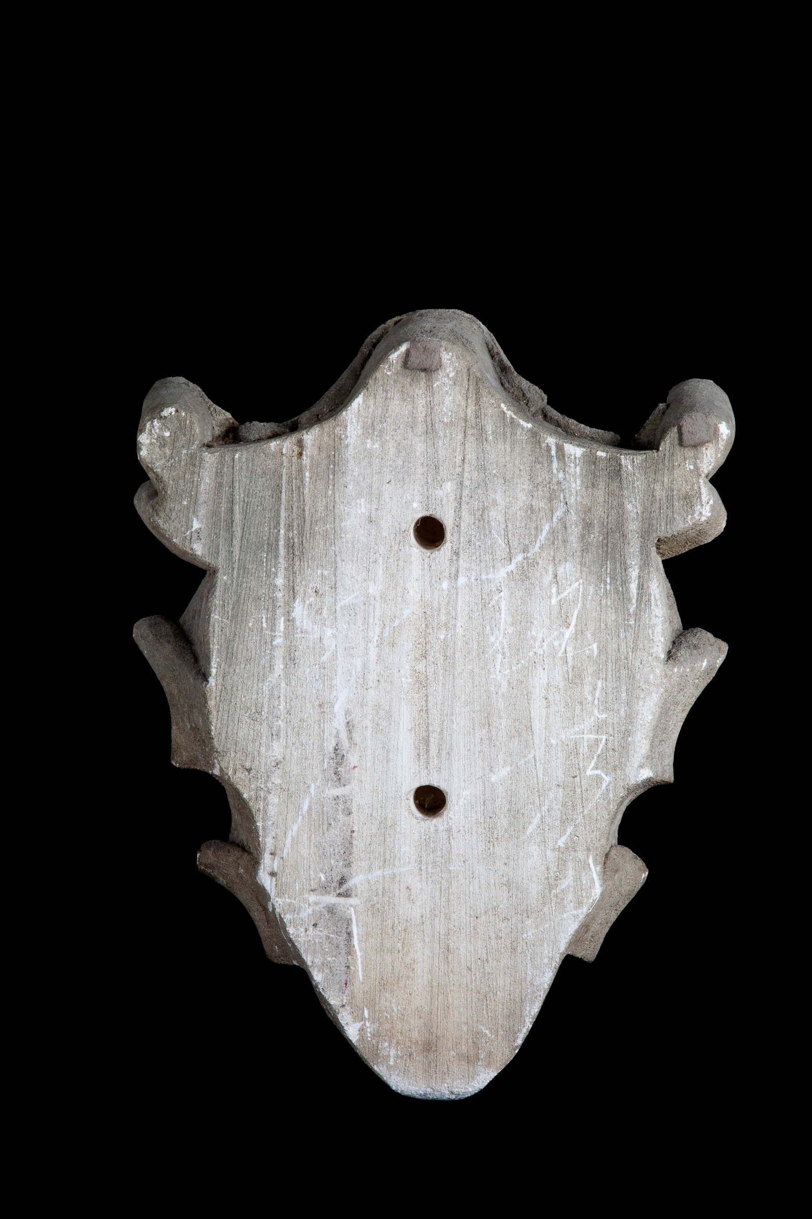 Heraldic coat of arms - 2
