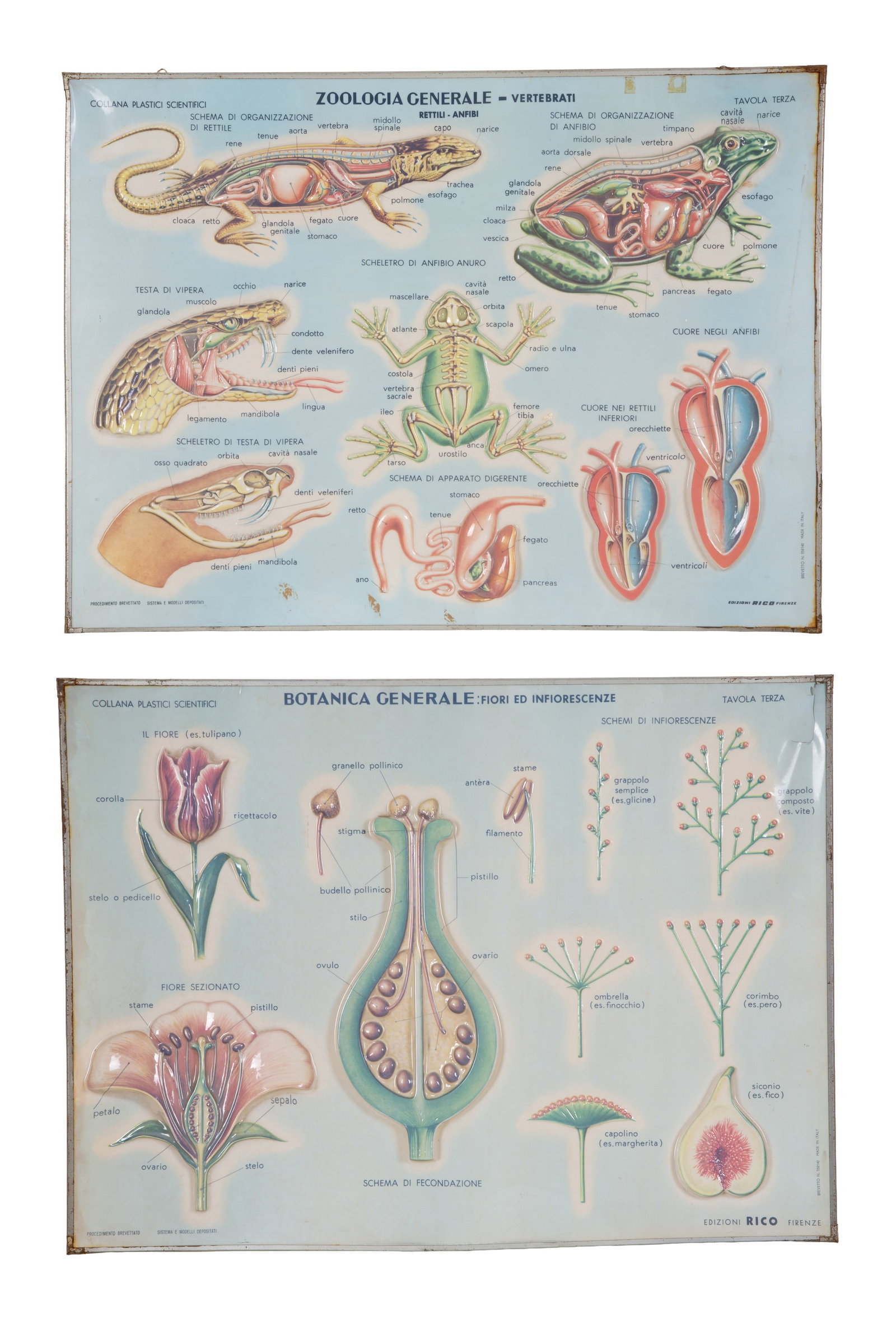 Six educational panels - 2