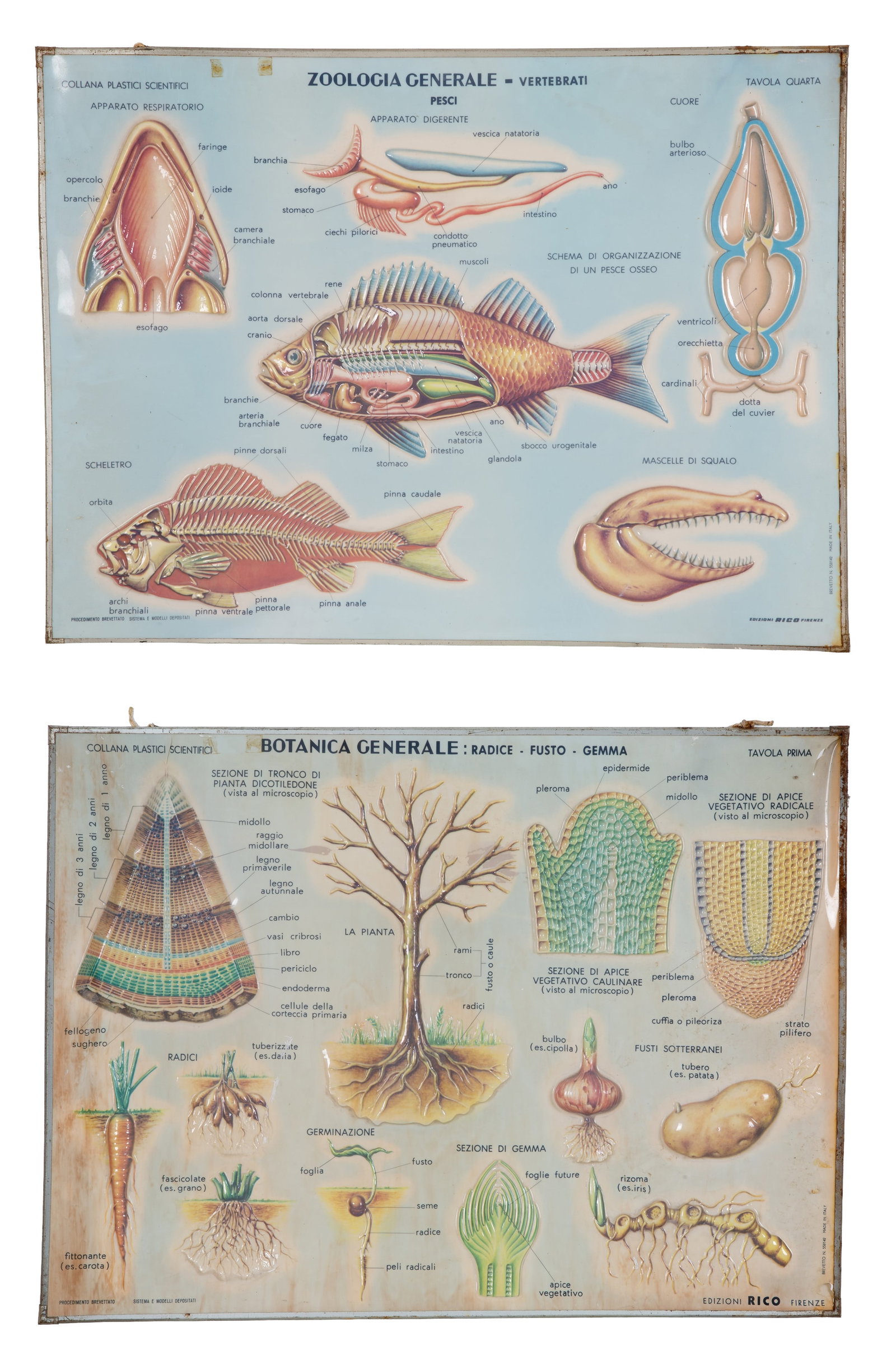 Six educational panels - 3