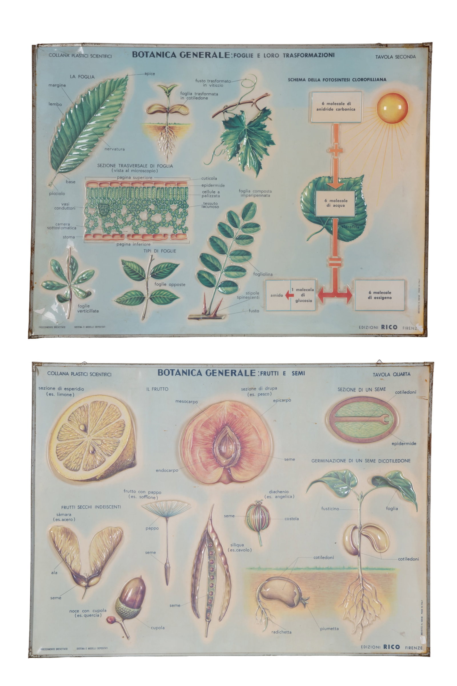 Six educational panels - 4