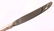 REED & BARTON STERLING SILVER FRANCIS I KNIVES LOT OF 6 - 4