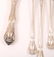 ALVIN STERLING SILVER CHATEAU ROSE FLATWARE - LOT OF 19 - 8