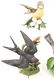 LENOX PORCELAIN BIRD FIGURINES - LOT OF 5 - 2