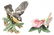LENOX PORCELAIN BIRD FIGURINES - LOT OF 5 - 2