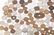 WORLD COIN CURRENCY 4+ LBS - 4
