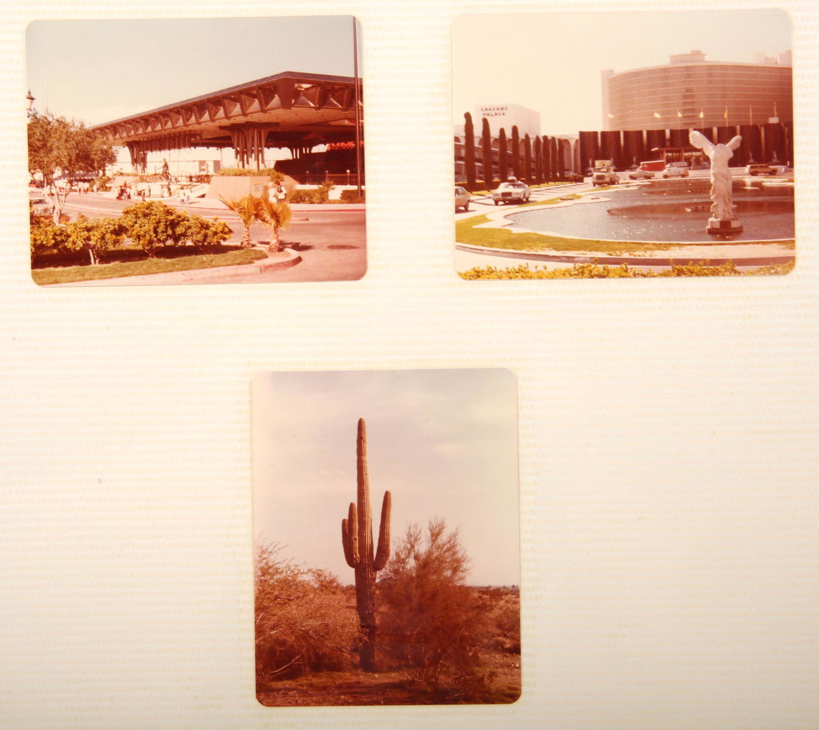 JACK NICKLAUS & ARNOLD PALMER AUTOGRAPH LOT OF 2: JACK NICKLAUS & ARNOLD PALMER AUTOGRAPH LOT OF 2 Jack Nicklaus and Arnold Palmer autograph lot. Both signed on the back of business cards. Measure 3.50" by 2". Mounted to photo album card st