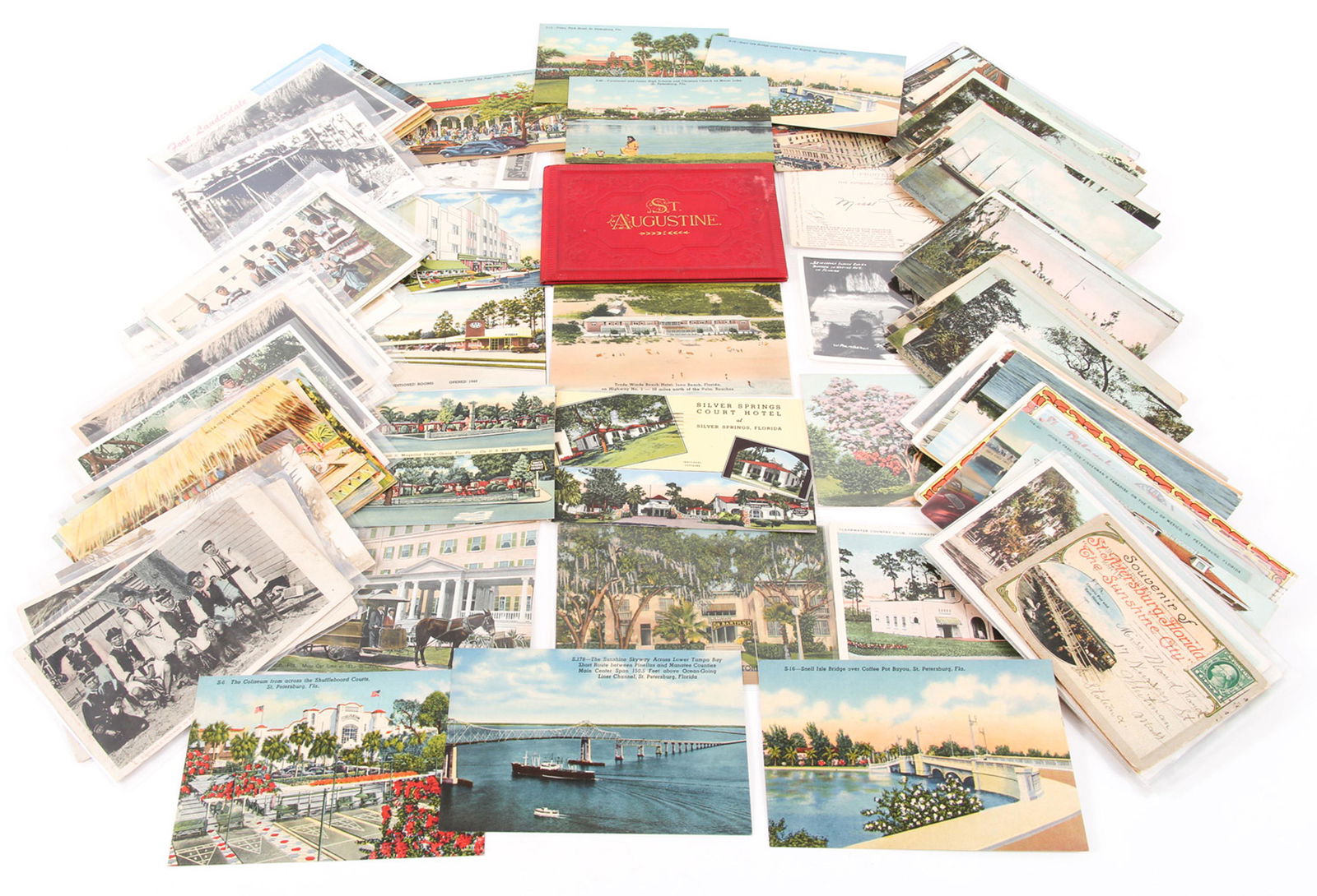 FLORIDA SEMINOLES, ALLIGATORS & CITY SOUVENIR POSTCARDS (1 of 8)