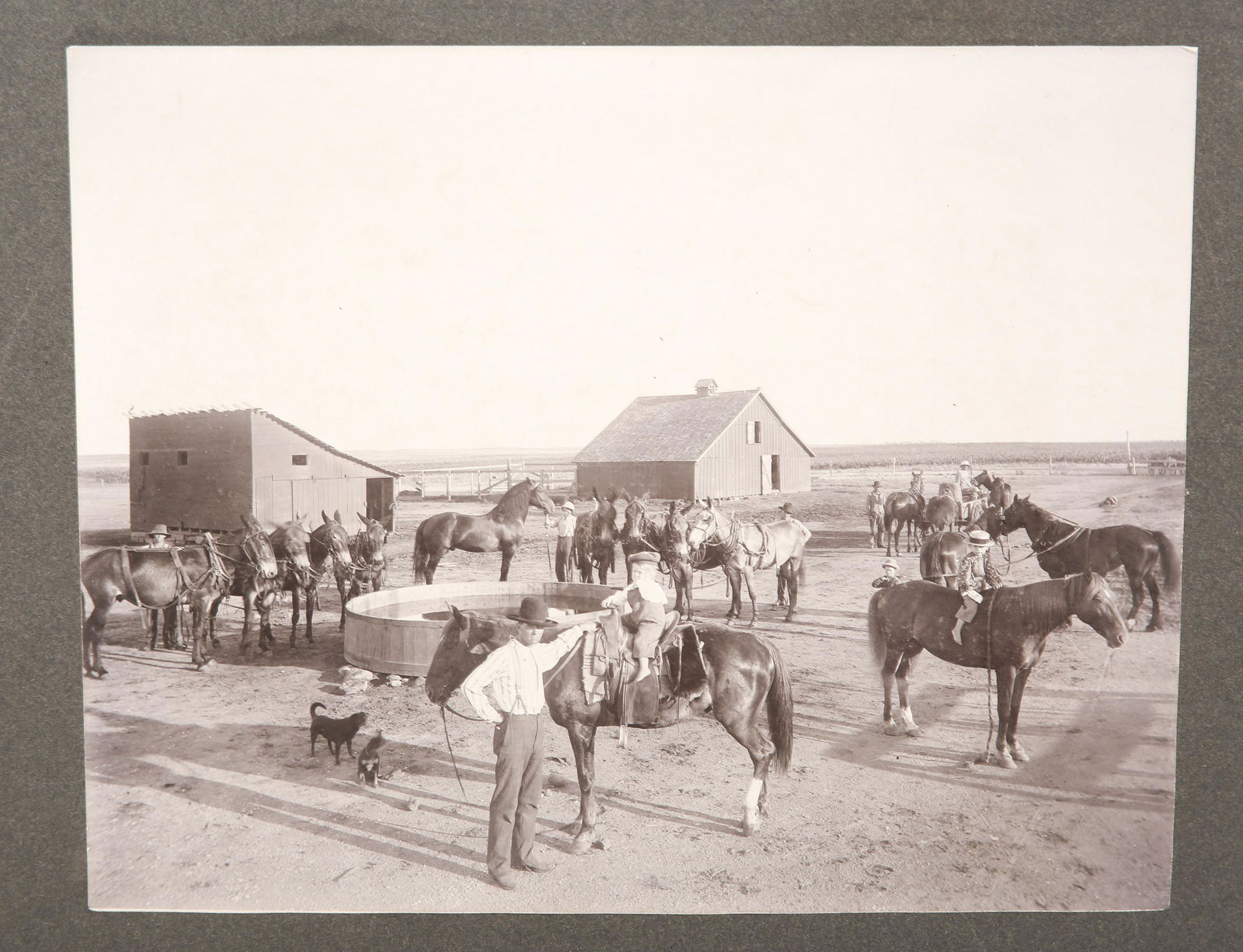 LATE 19TH CENTURY KANSAS RANCH CABINET CARD (1 of 4)