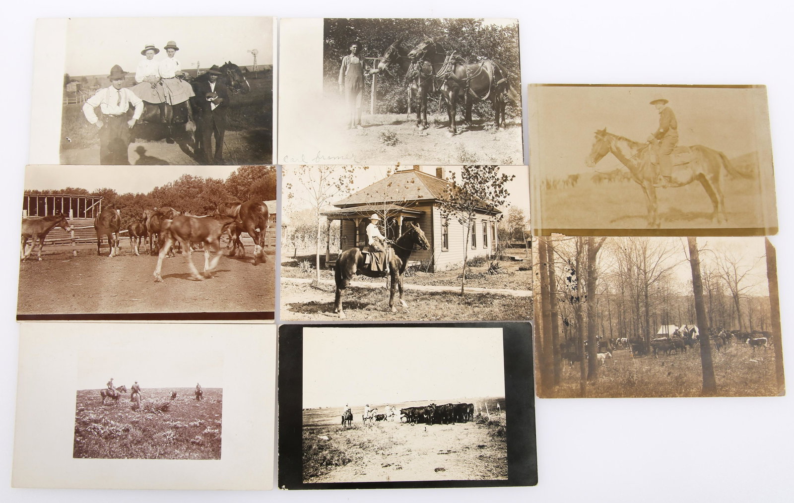 WESTERN COWBOY & RANCHER POSTCARDS: WESTERN COWBOY & RANCHER POSTCARDS Set of post cards from the old west including: Cowboys bringing in a stray calf