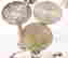 item-116427190=8