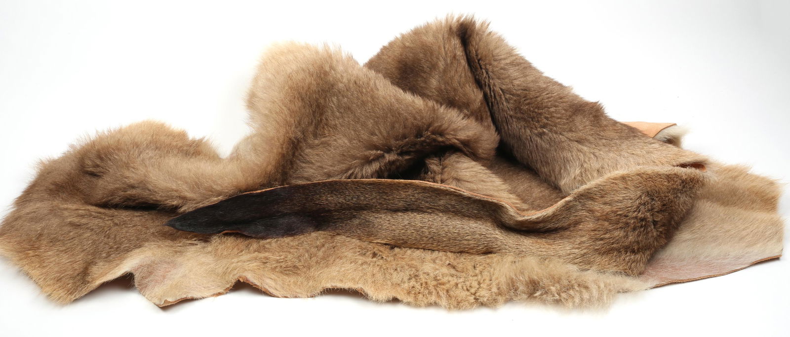 KANGAROO PELT (1 of 6)