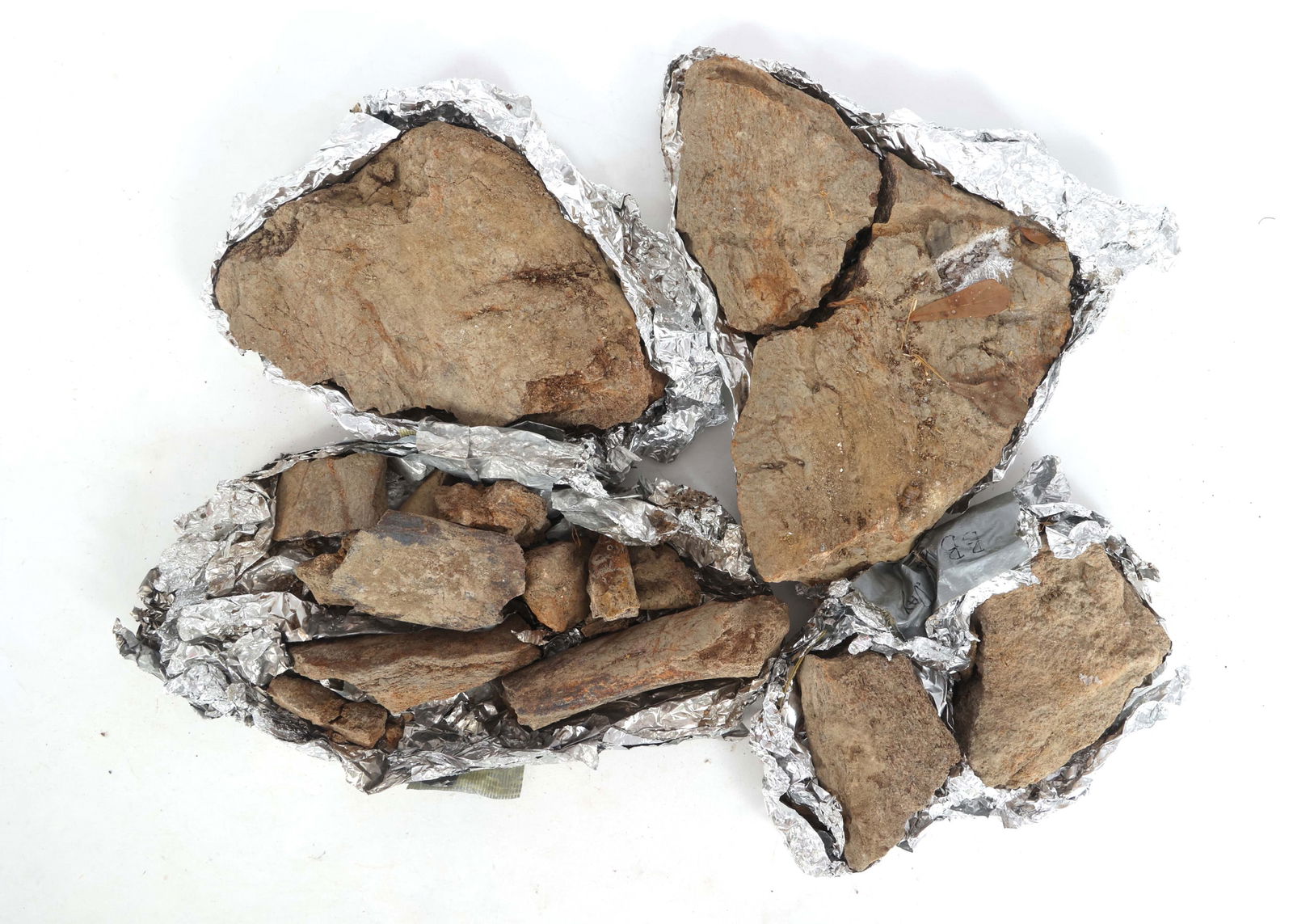 DINOSAUR HADROSAURUS & TRICERATOPS FOSSIL SPECIMENS (1 of 5)