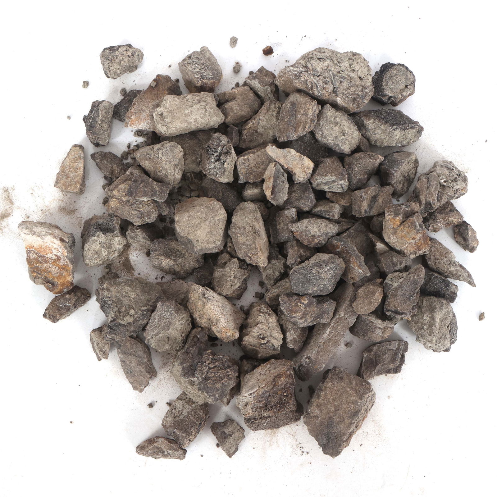 DINOSAUR HADROSAURUS & TRICERATOPS FOSSIL SPECIMENS (1 of 3)