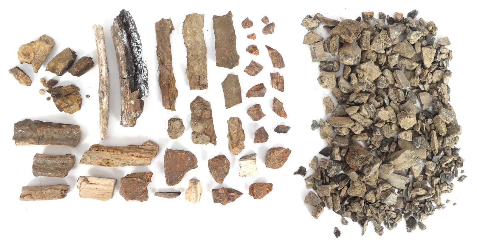 DINOSAUR TRICERATOPS FOSSIL SPECIMENS: DINOSAUR TRICERATOPS FOSSIL SPECIMENS Dinosaur fossil specimens. Believed to be Triceratops frill pieces and Gar scale pieces. Please Note: No International Shipping On This Lot Provenance: Estate Art