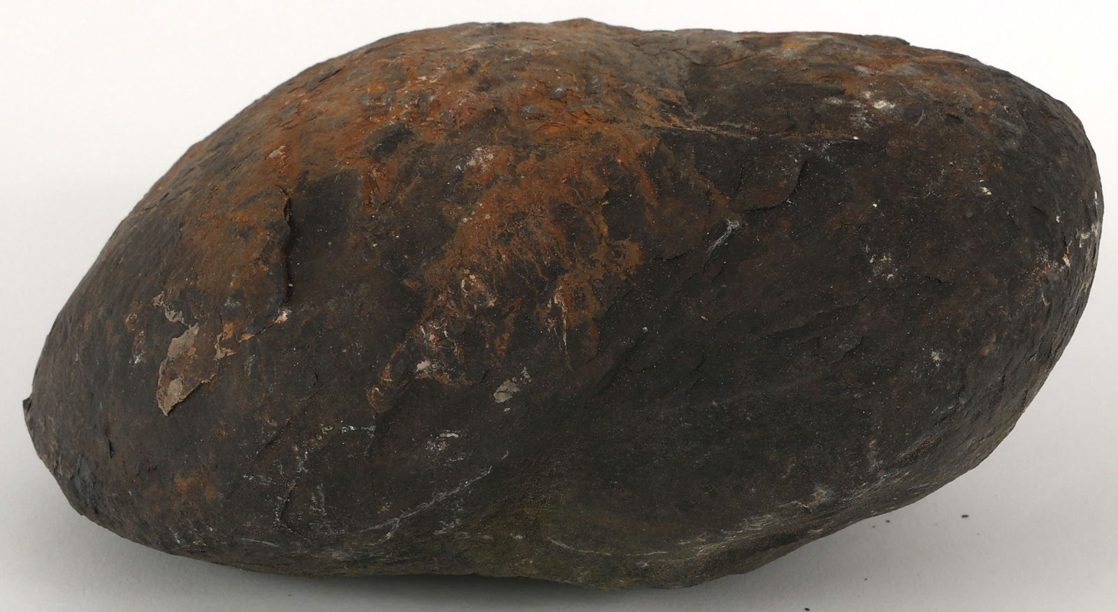 DINOSAUR FOSSIL SPECIMEN - UNSPECIFIED (1 of 3)