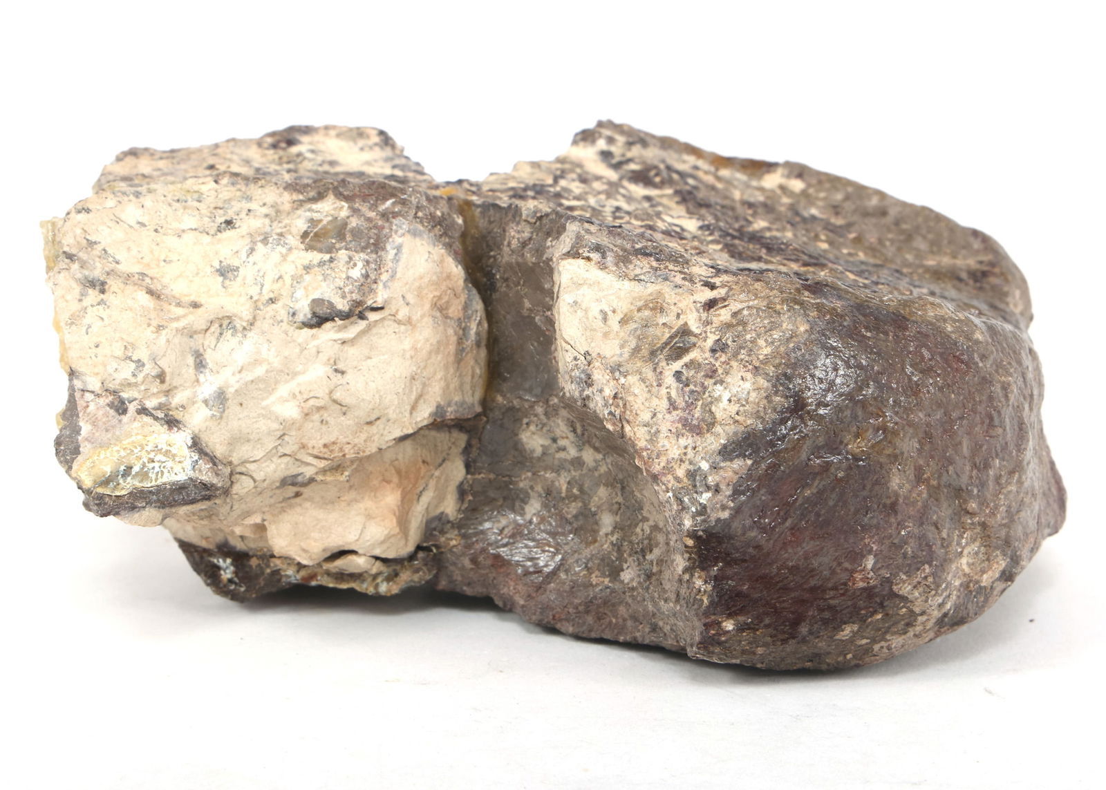 DINOSAUR FOSSIL SPECIMEN - UNSPECIFIED (1 of 6)