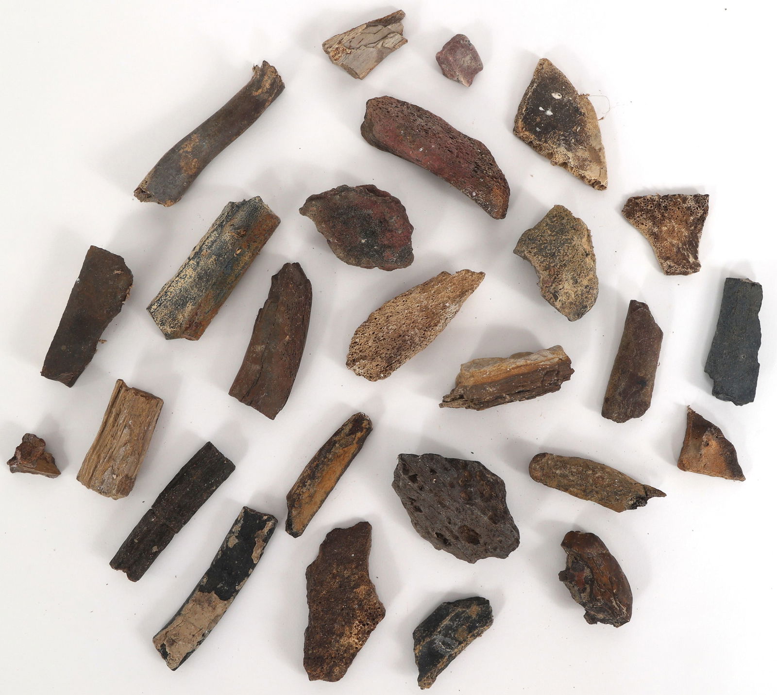 DINOSAUR FOSSIL SPECIMENS - UNSPECIFIED (1 of 1)