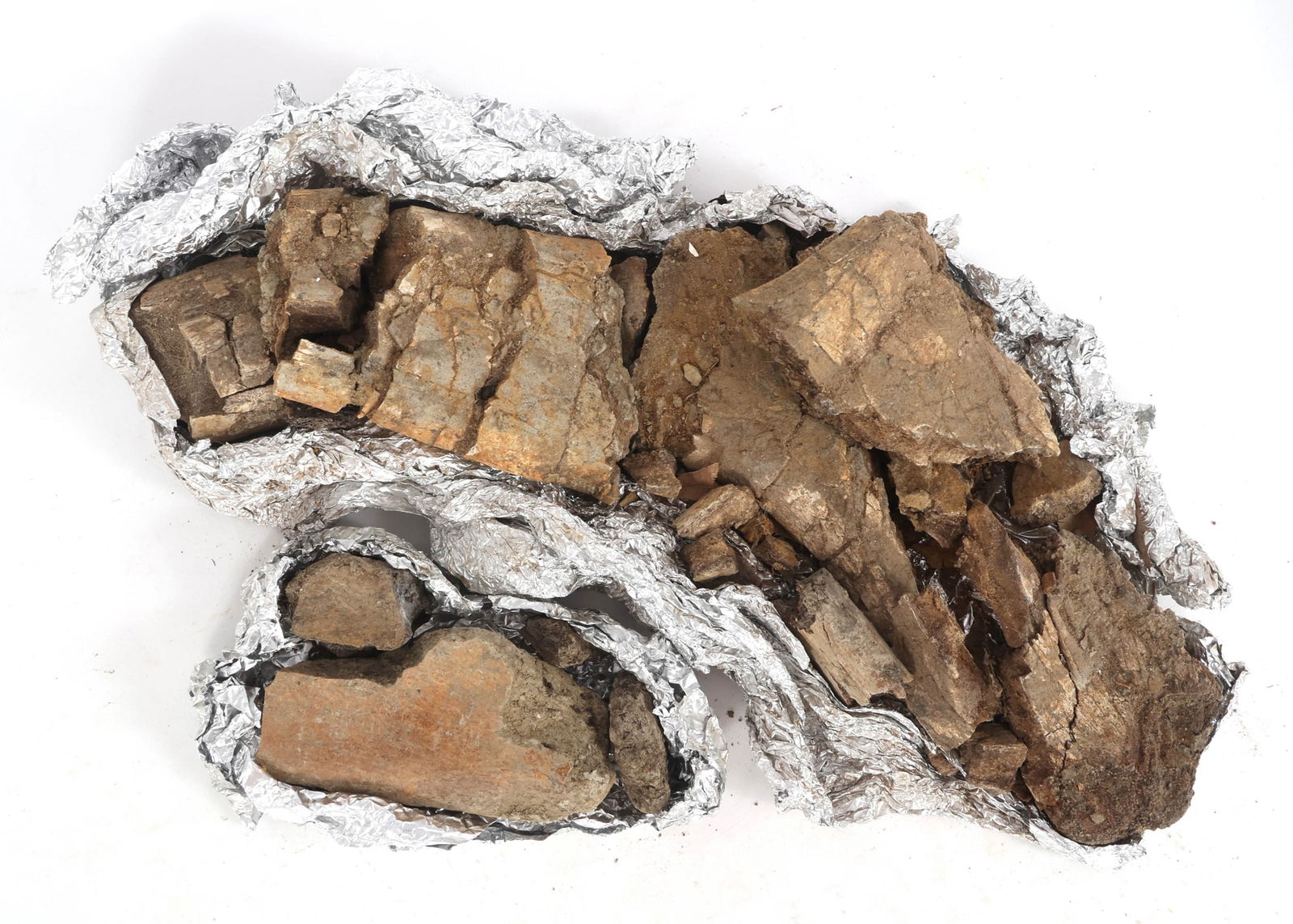 DINOSAUR FOSSIL SPECIMENS - UNSPECIFIED (1 of 4)