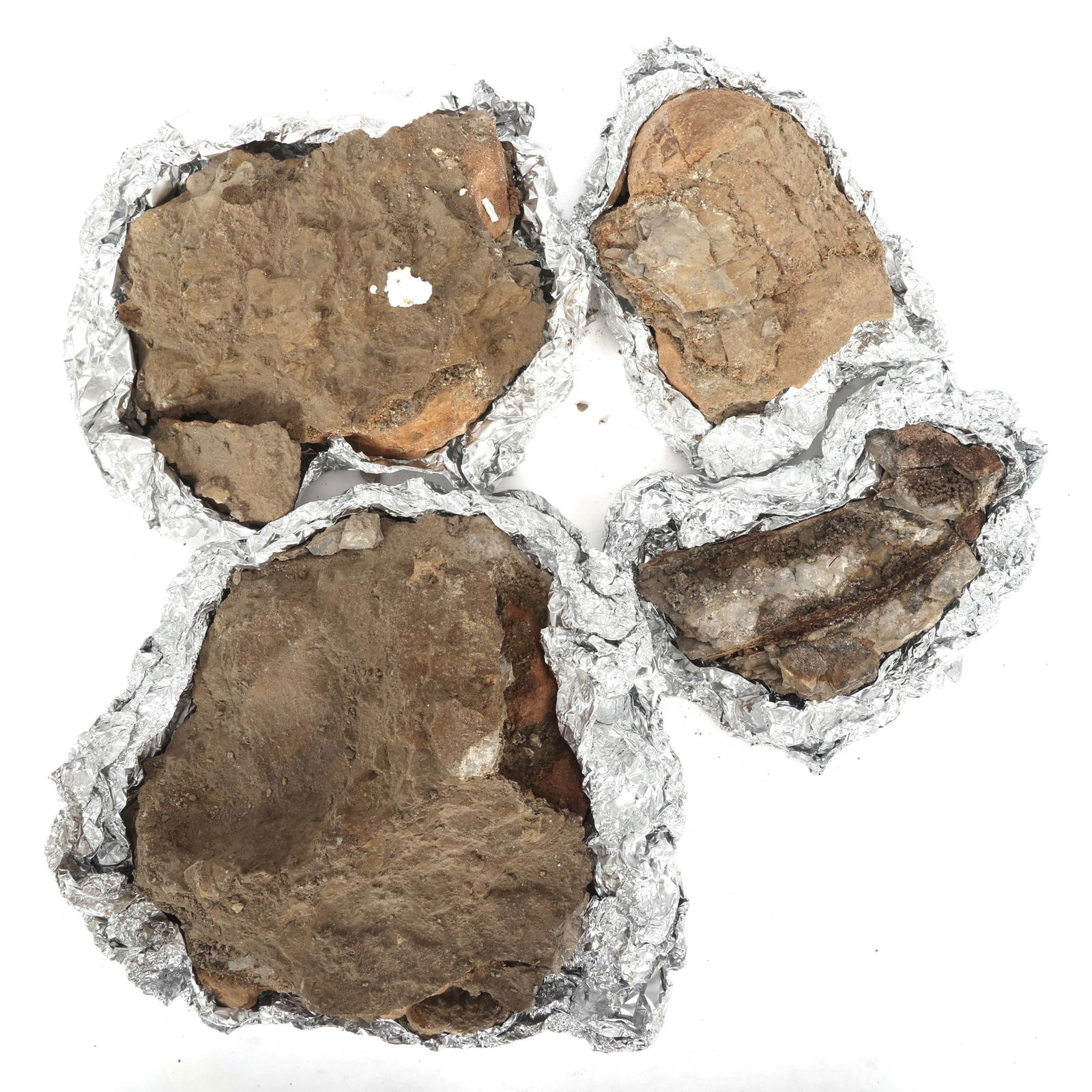 DINOSAUR FOSSIL SPECIMENS - UNSPECIFIED (1 of 5)