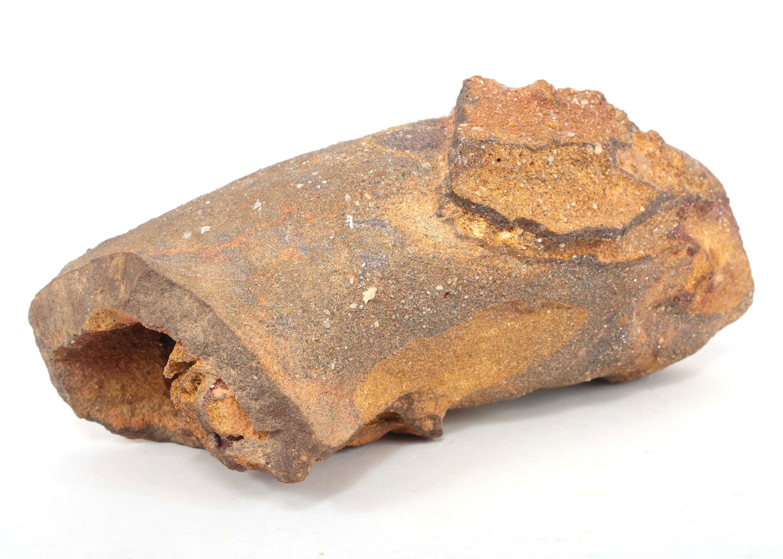 DINOSAUR FOSSIL SPECIMENS - UNSPECIFIED (1 of 4)