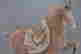 item-75706685=3