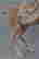 item-75706685=4