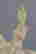 item-75706698=3