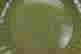 item-132037989=6