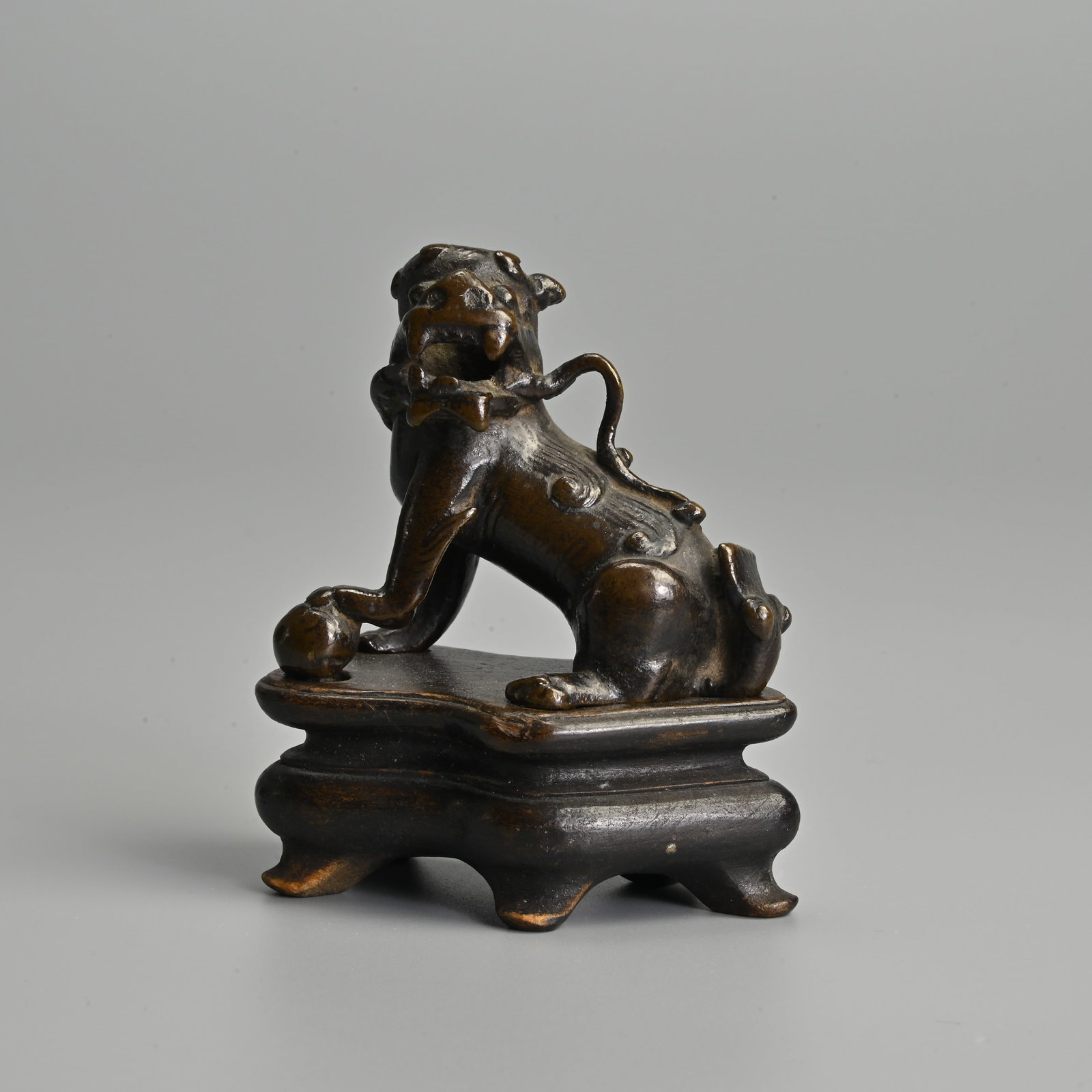 A SMALL CHINESE BRONZE MODEL OF A DOG OF FO ON WOODEN STAND, 18/19TH CENTURY, QING DYNASTY.: A SMALL CHINESE BRONZE MODEL OF A DOG OF FO ON WOODEN STAND, 18/19TH CENTURY, QING DYNASTY. Seated with his paw on a ball. Together with a fitted carved wood display stand. 8.5cm tall including stand.