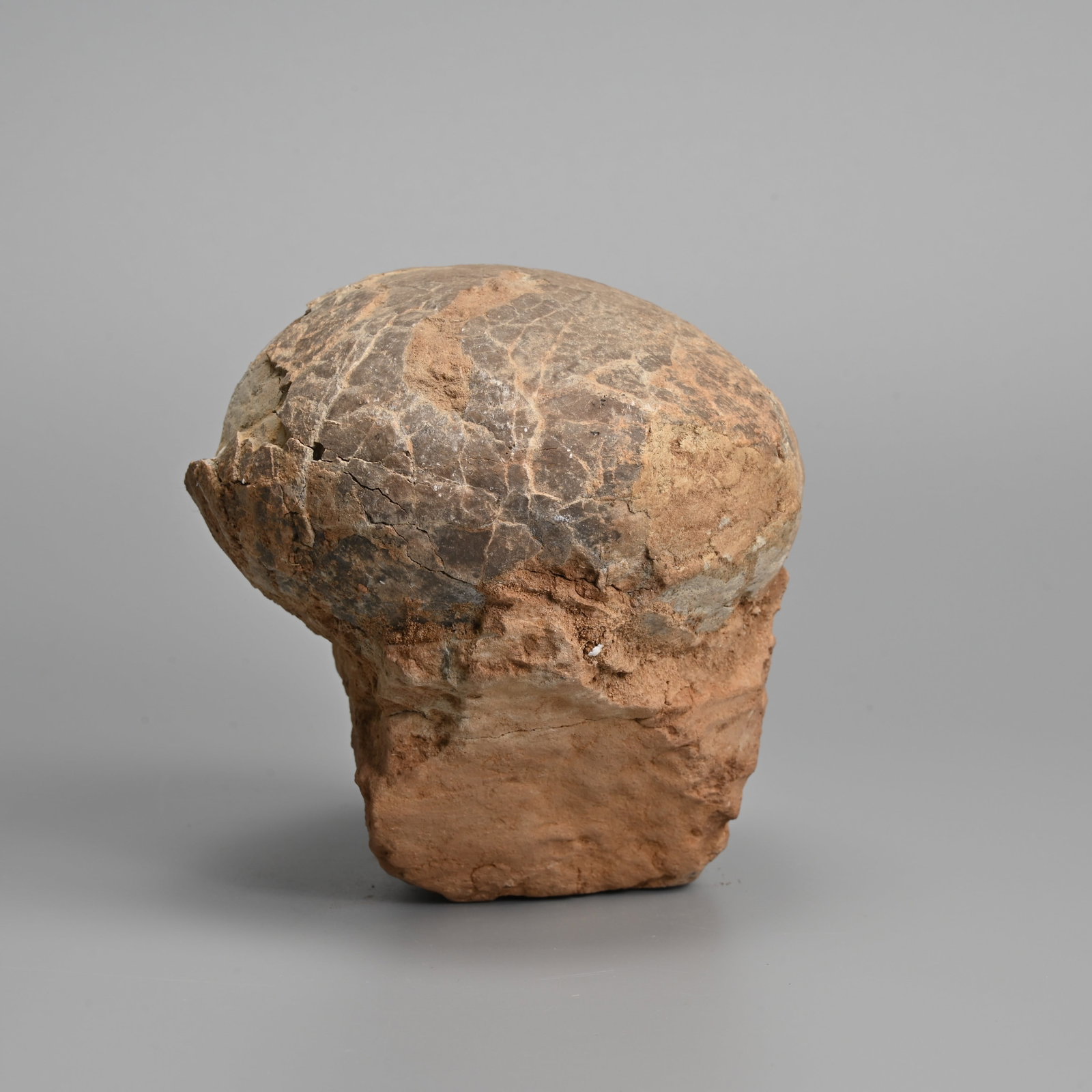 A FOSSILISED DINOSAUR EGG, HADROSAUR, LATE CRETACEOUS PERIOD, CIRCA 85 ? 65 MILLION YEARS.: A FOSSILISED DINOSAUR EGG, HADROSAUR, LATE CRETACEOUS PERIOD, CIRCA 85 ? 65 MILLION YEARS. Fossilised hadrosaur eggs and remains were primarily discovered in sedimentary basins across Henan and Jiangx
