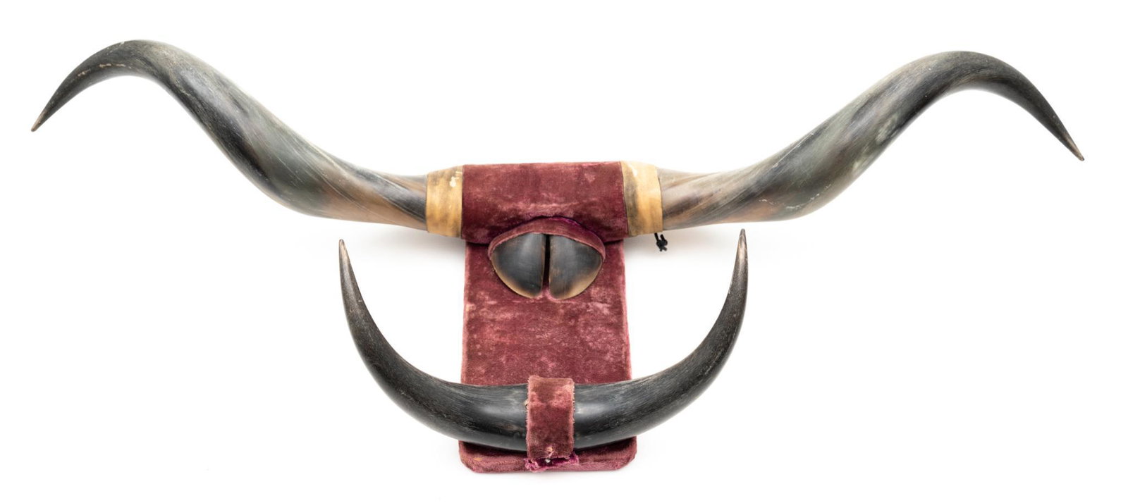 Steer horn wall mount: 11' tall x 32' wide