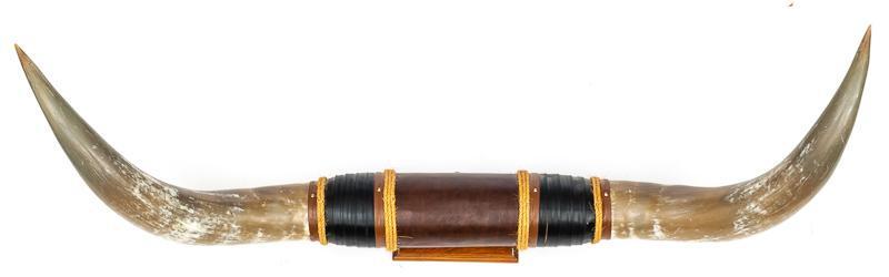 Large Steer Taxidermy Display Wall Mount (1 of 3)