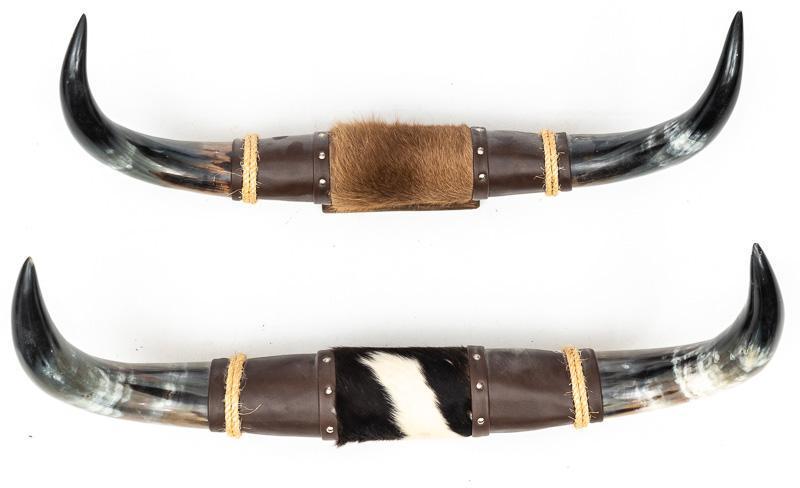 Pair of Steer Taxidermy Display Wall Mount (1 of 3)