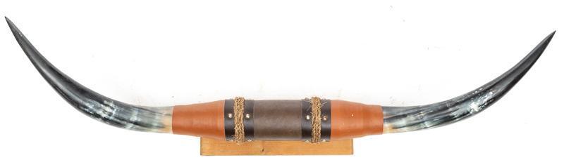 Wall Hanging Steer Taxidermy Mount (1 of 3)