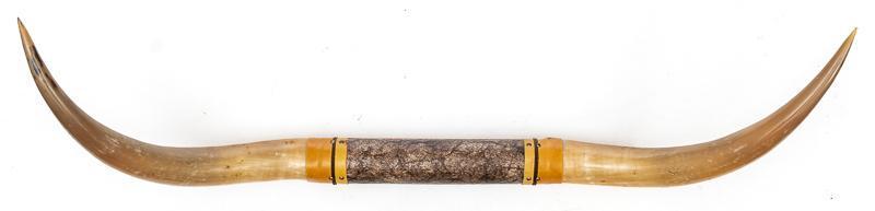 Large Steer Taxidermy Display Wall Mount (1 of 3)