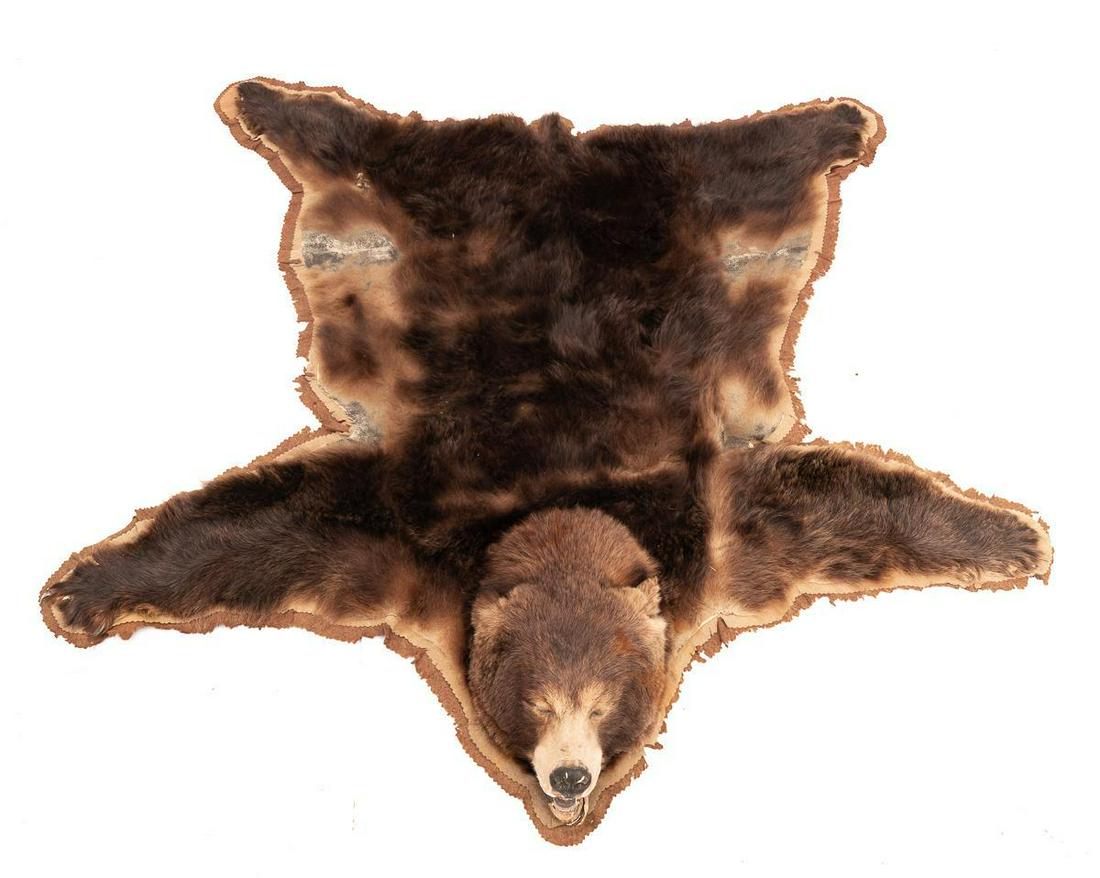 Brown Bear Taxidermy Rug (1 of 2)