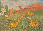 Dorothy Wise, Poppy Field