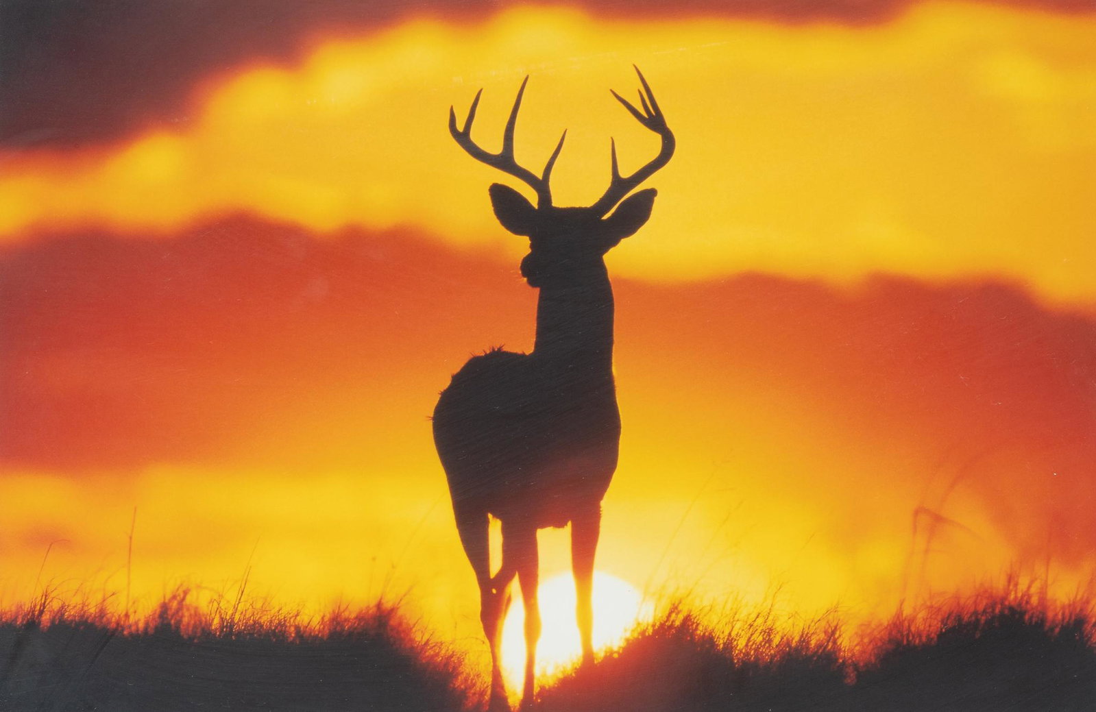 Tom Urban, "2nd-Sunrise/Sunset, 5B": Tom Urban, "2nd-Sunrise/Sunset, 5B", photograph print, framed sight: 9.75 x 14.75", frame: 17.75 x 22.75"