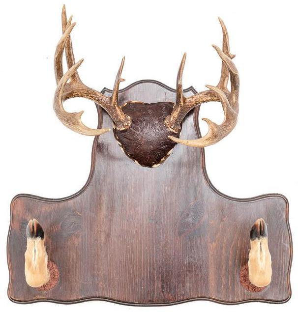 Whitetail Deer Taxidermy Wall Rack: Whitetail deer taxidermy wall rack display, leather accents, deer hoof hook accents 25" tall x 27" long x 15" deep State-wide delivery is available for this item. Please email shipping@vogtauction.com