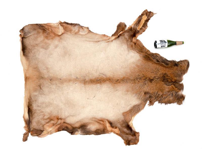 Elk Taxidermy: Provenance: A Waco, TX Estate Elk hide taxidermy on board 67" head/tail x 57" toe/toe State-wide delivery is available for this item. Please email shipping@vogtauction.com or call 210-822-6155 for a q