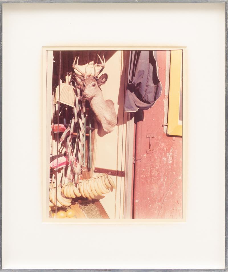 Max Kozloff, "Still Like, Bodeca Style, Columbus Ave": Provenance: An Olmos Park, TX Estate Max Kozloff, "Still Like, Bodeca Style, Columbus Ave", photographic print, artist and piece info on back, framed 19" tall x 17" wide