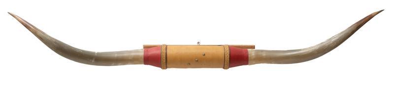 68" Long Steer Horn Taxidermy Wall Mount (1 of 3)