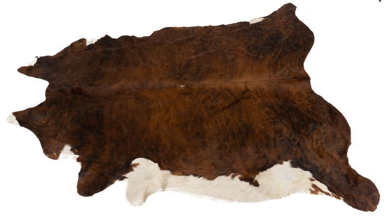 Taxidermy Cowhide Rug (1 of 4)