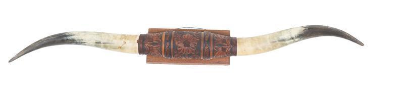 Outstanding 47" Longhorn Horn Mount (1 of 3)