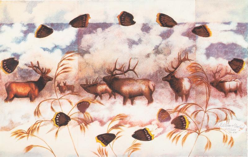 William Marlow, "Elk Mystery", 1986 (1 of 5)