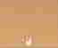 item-95411419=3