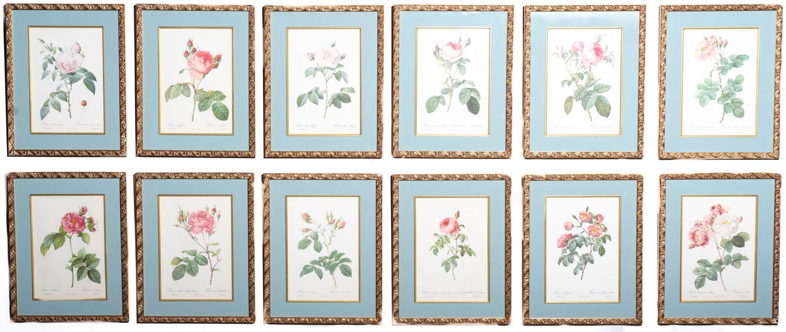 Pierre Joseph Redoute (1759-1840), 12 Botanical Prints (1 of 3)